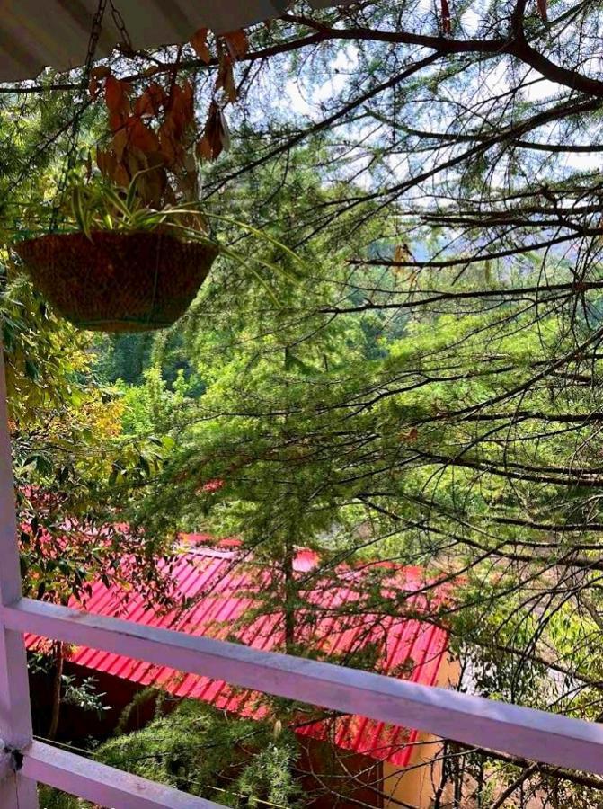 Aamod Resorts Dalhousie ! Luxury Cottage Resort Exterior foto